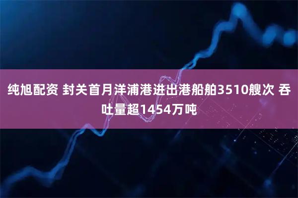 纯旭配资 封关首月洋浦港进出港船舶3510艘次 吞吐量超1454万吨