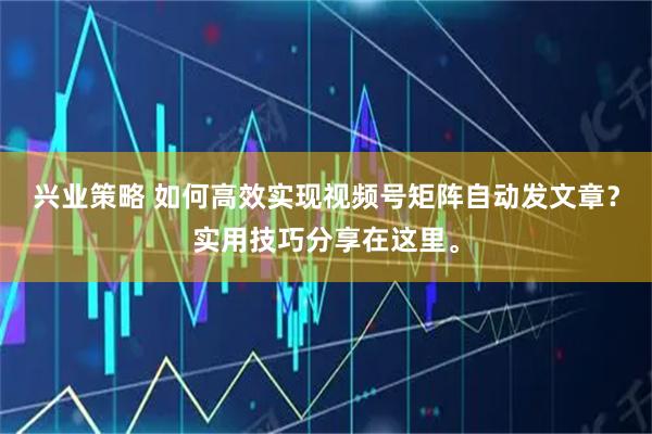 兴业策略 如何高效实现视频号矩阵自动发文章？实用技巧分享在这里。